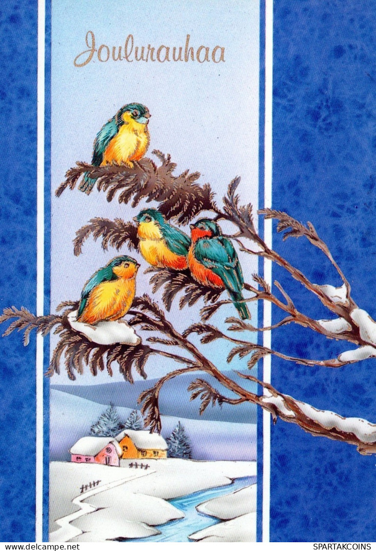 BIRD Animals Vintage Postcard CPSM #PAM836.A - Birds