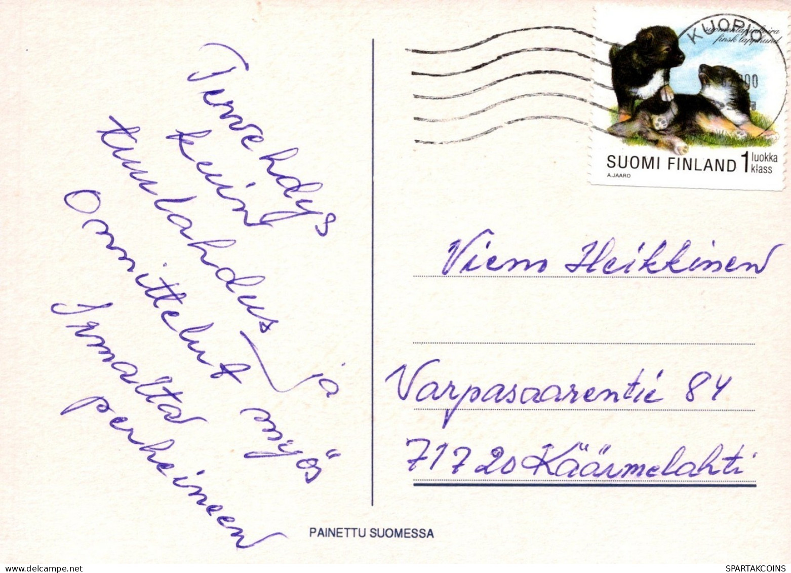 CAT KITTY Animals Vintage Postcard CPSM #PAM516.A - Katzen