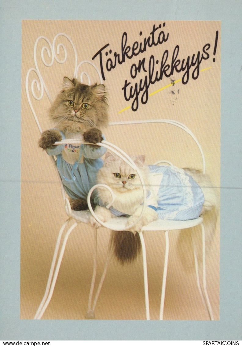 GATTO KITTY Animale Vintage Cartolina CPSM #PAM318.A - Katten