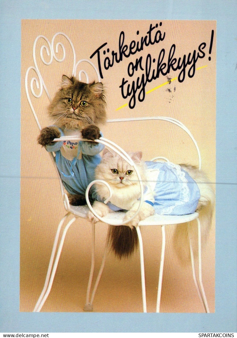 GATTO KITTY Animale Vintage Cartolina CPSM #PAM318.A - Katzen