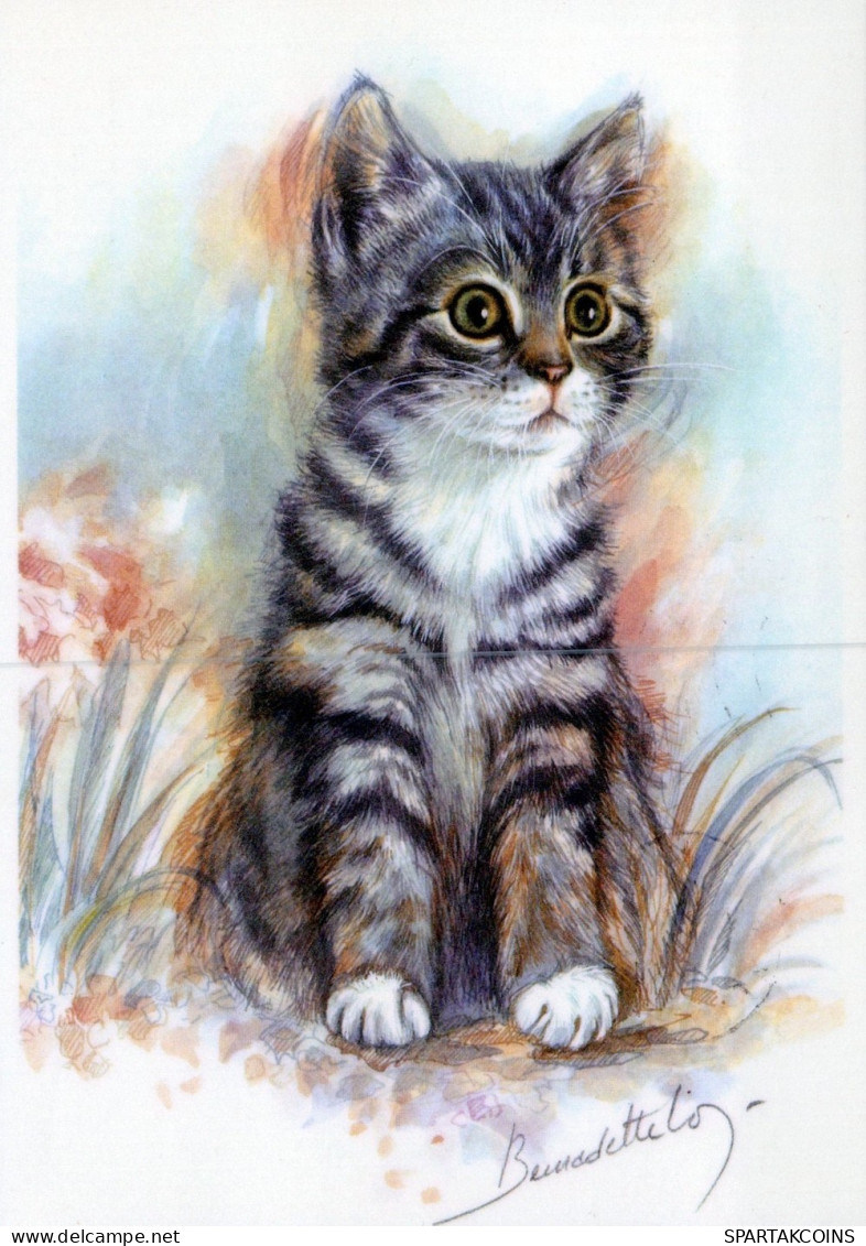 CAT KITTY Animals Vintage Postcard CPSM #PAM186.A - Gatti