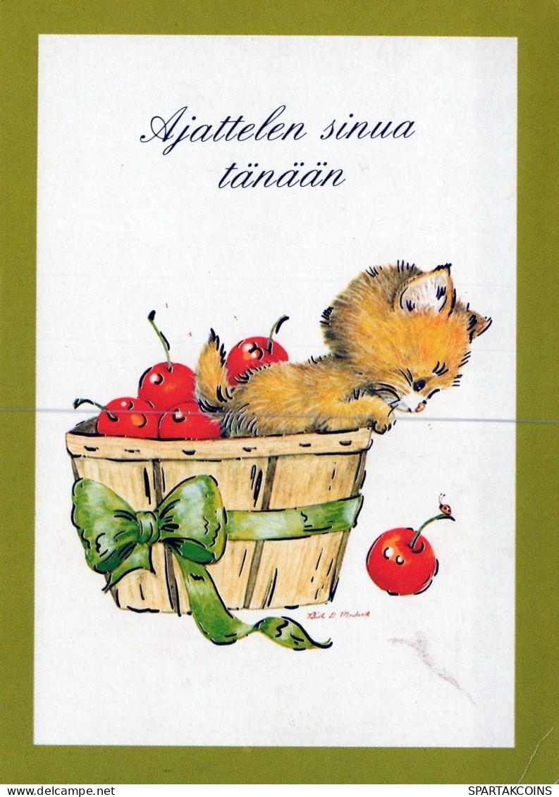 KATZE MIEZEKATZE Tier Vintage Ansichtskarte Postkarte CPSM #PAM265.A - Gatti