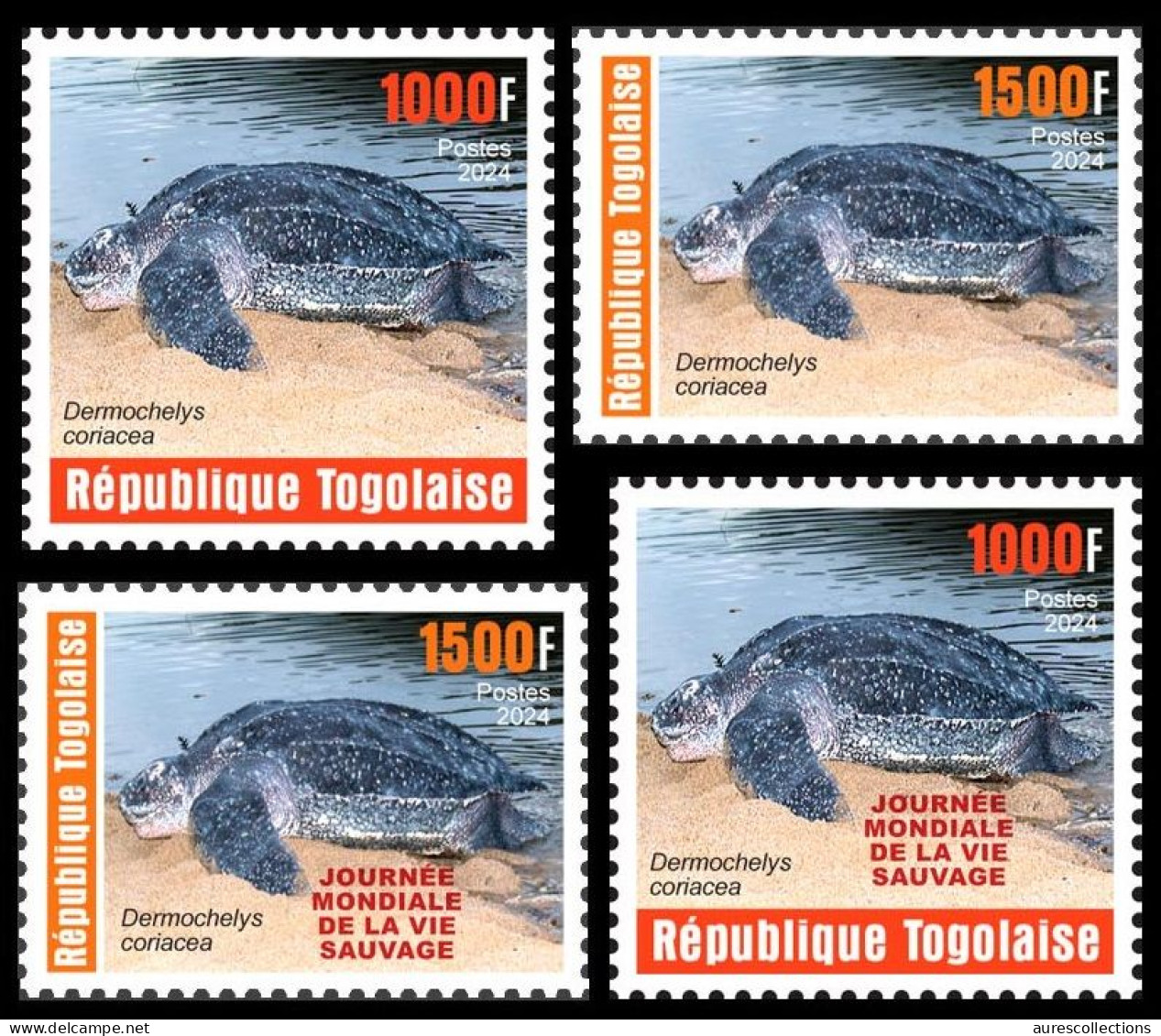 TOGO 2024 SET 4V - REG & OVERPRINT - REPTILES - TURTLE TURTLES TORTUE TORTUES - MNH - Tartarughe