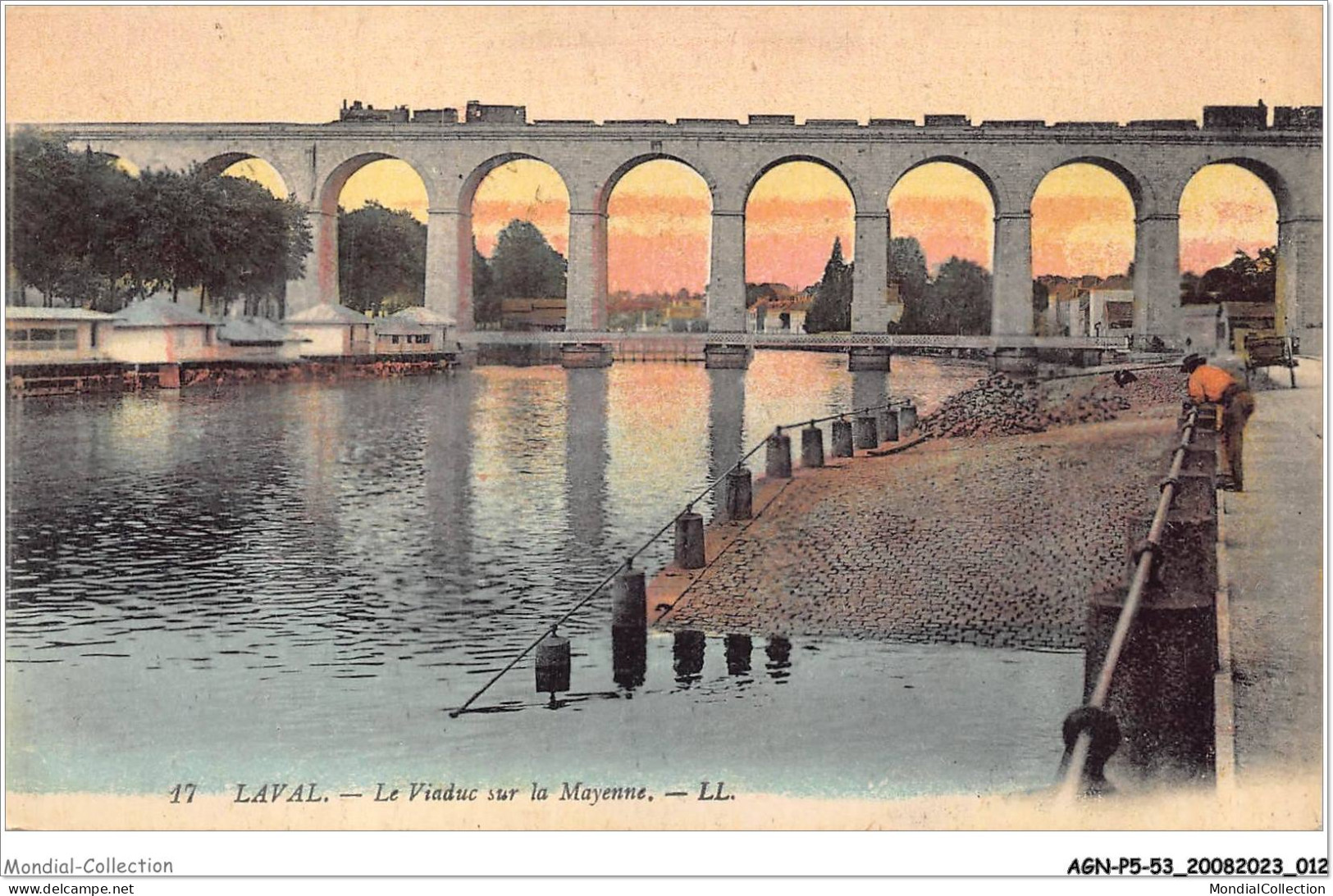 AGNP5-0365-53 - LAVAL - Le Viaduc Sur La Mayenne - Laval