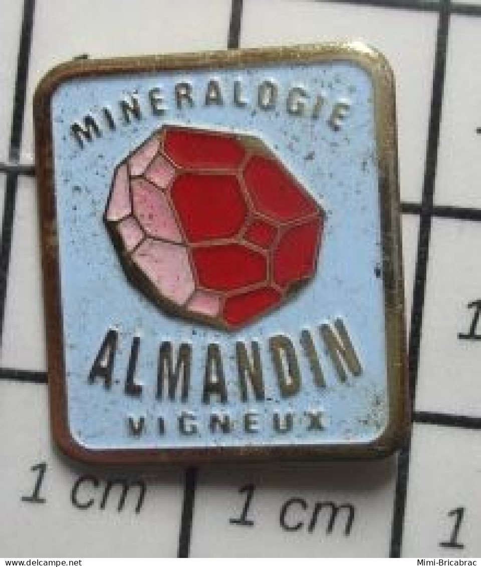 1818c Pin's Pins / Beau Et Rare / MARQUES / PIERRE PRECIEUSE ? MINERALOGIE ALMANDIN VIGNEUX - Trademarks