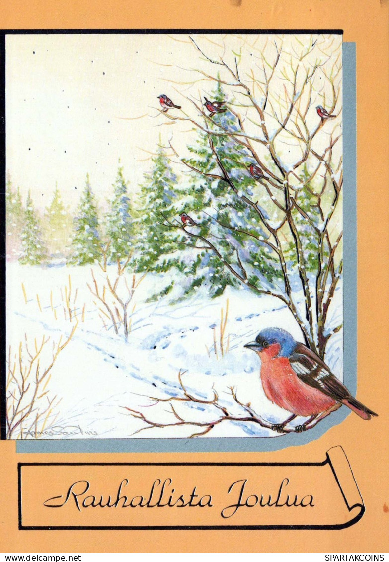 UCCELLO Animale Vintage Cartolina CPSM #PBR521.A - Vögel