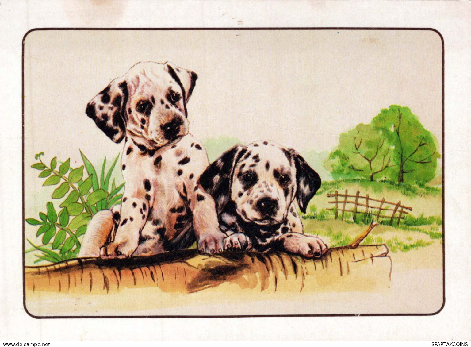 PERRO Animales Vintage Tarjeta Postal CPSM #PBQ589.A - Hunde