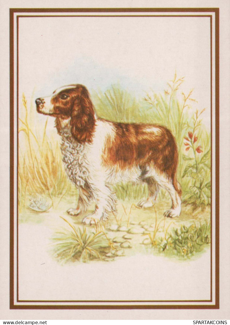 PERRO Animales Vintage Tarjeta Postal CPSM #PBQ374.A - Hunde