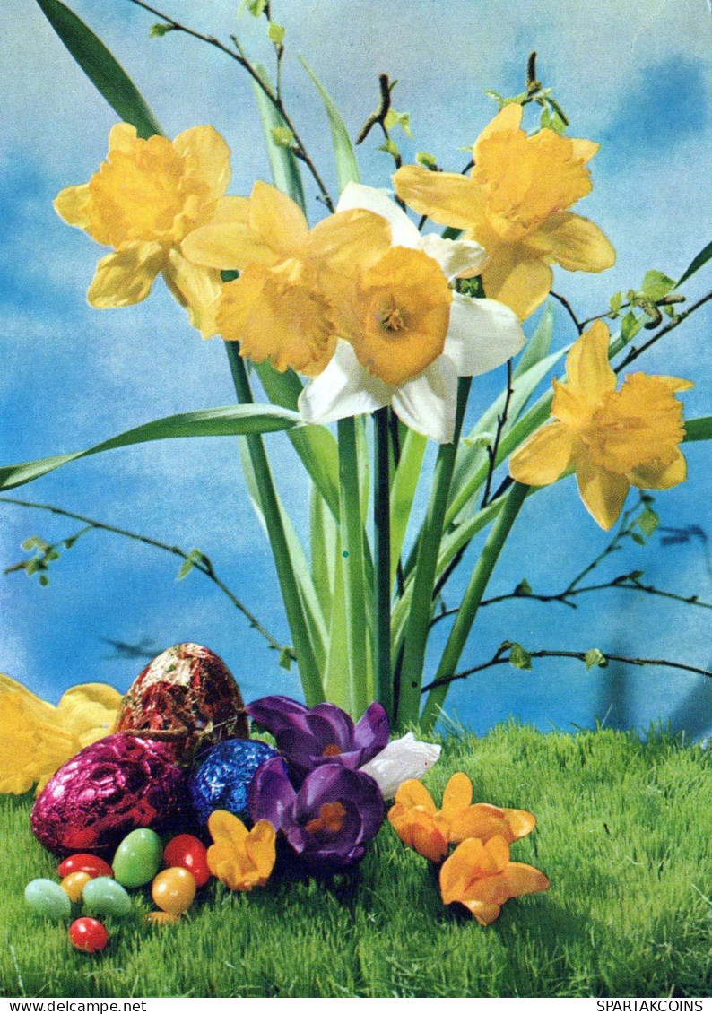 PÂQUES ŒUF Vintage Carte Postale CPSM #PBO144.A - Easter