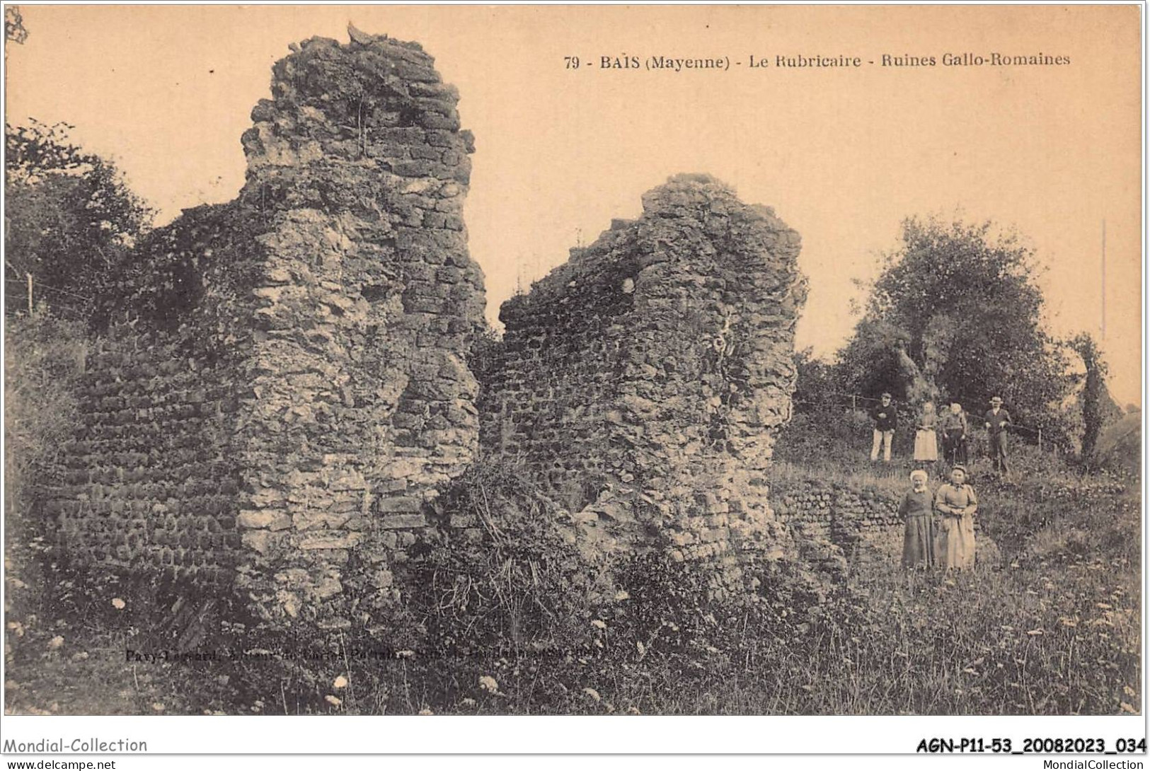 AGNP11-0866-53 - BAIS -  Le Rubricaire - Ruines Gallo-romaines - Bais