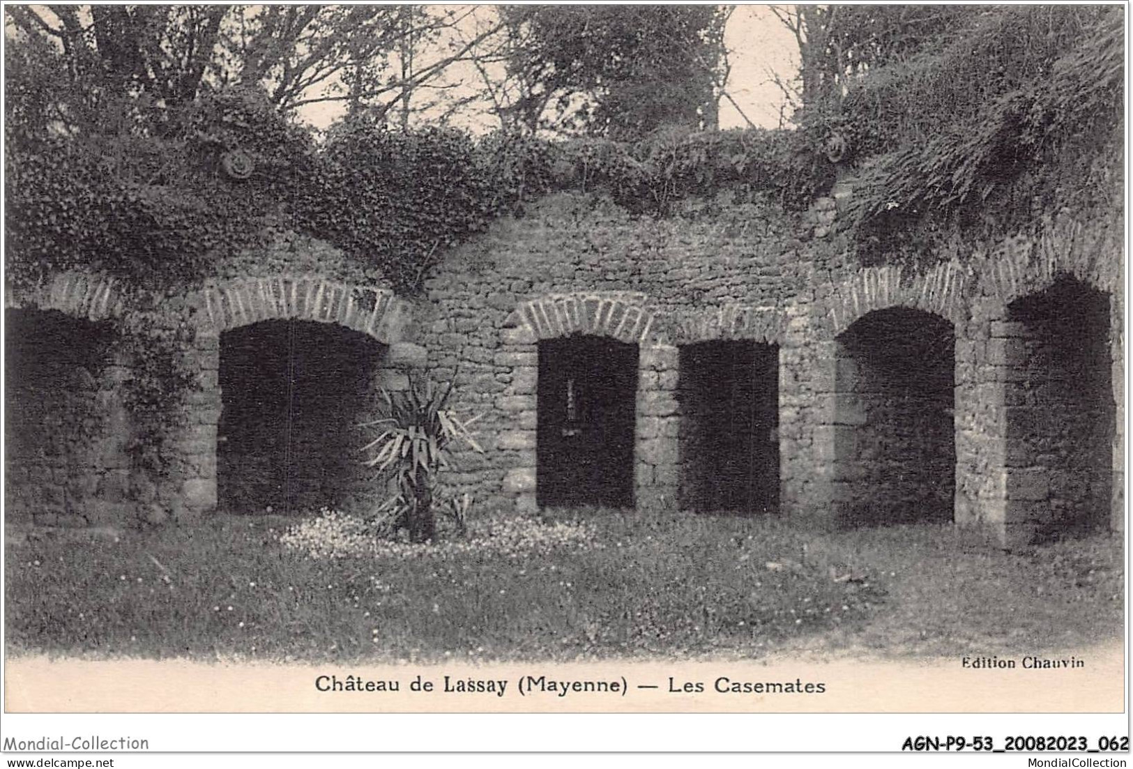 AGNP9-0743-53 - LASSAY -  Chateau De Lassay - Les Casemates - Lassay Les Chateaux