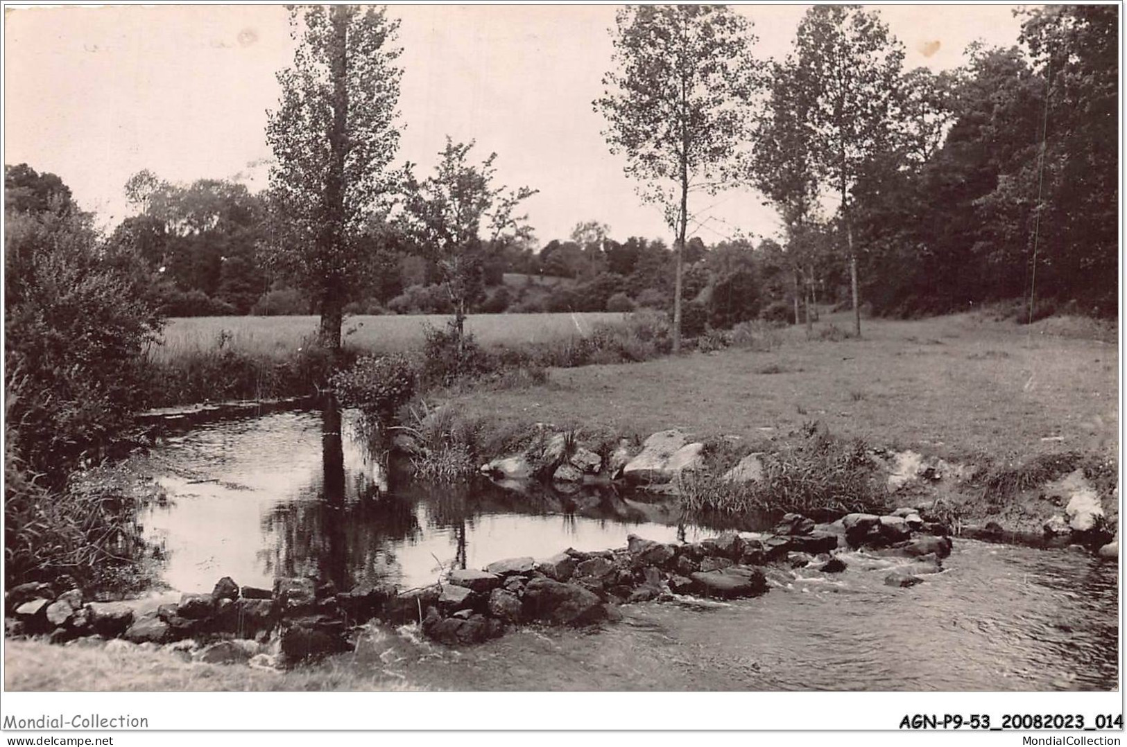 AGNP9-0719-53 - GORRON - Passage De Pierre Au Taillis - Gorron