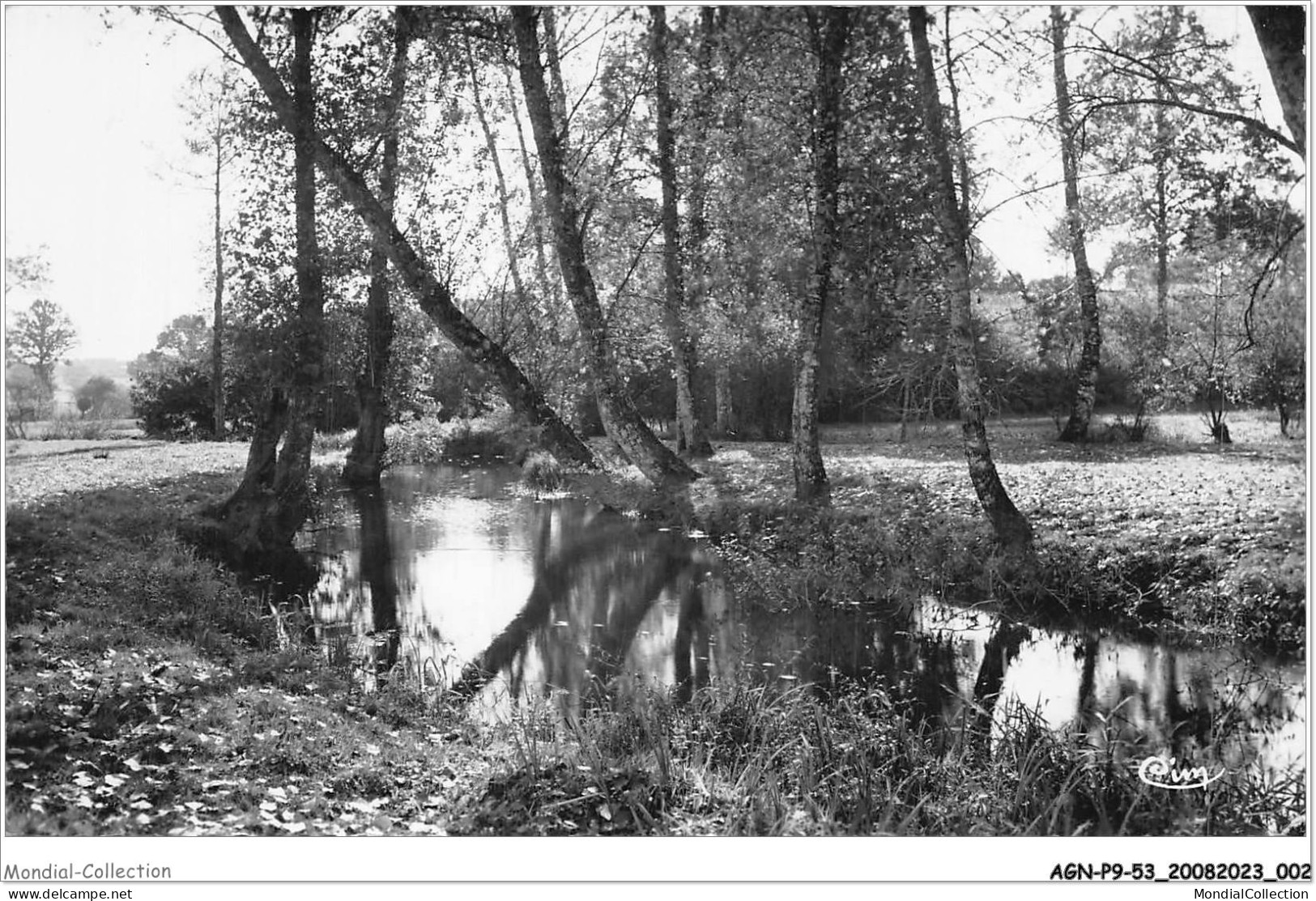 AGNP9-0713-53 - GORRON - Bords De La Colmont - Gorron