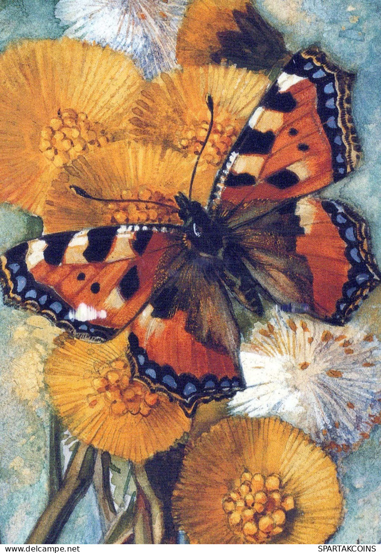 BUTTERFLIES Animals Vintage Postcard CPSM #PBS470.A - Butterflies