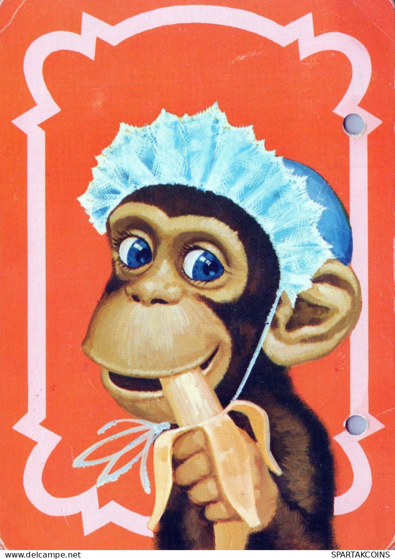 SINGE Animaux Vintage Carte Postale CPSM #PBS008.A - Singes