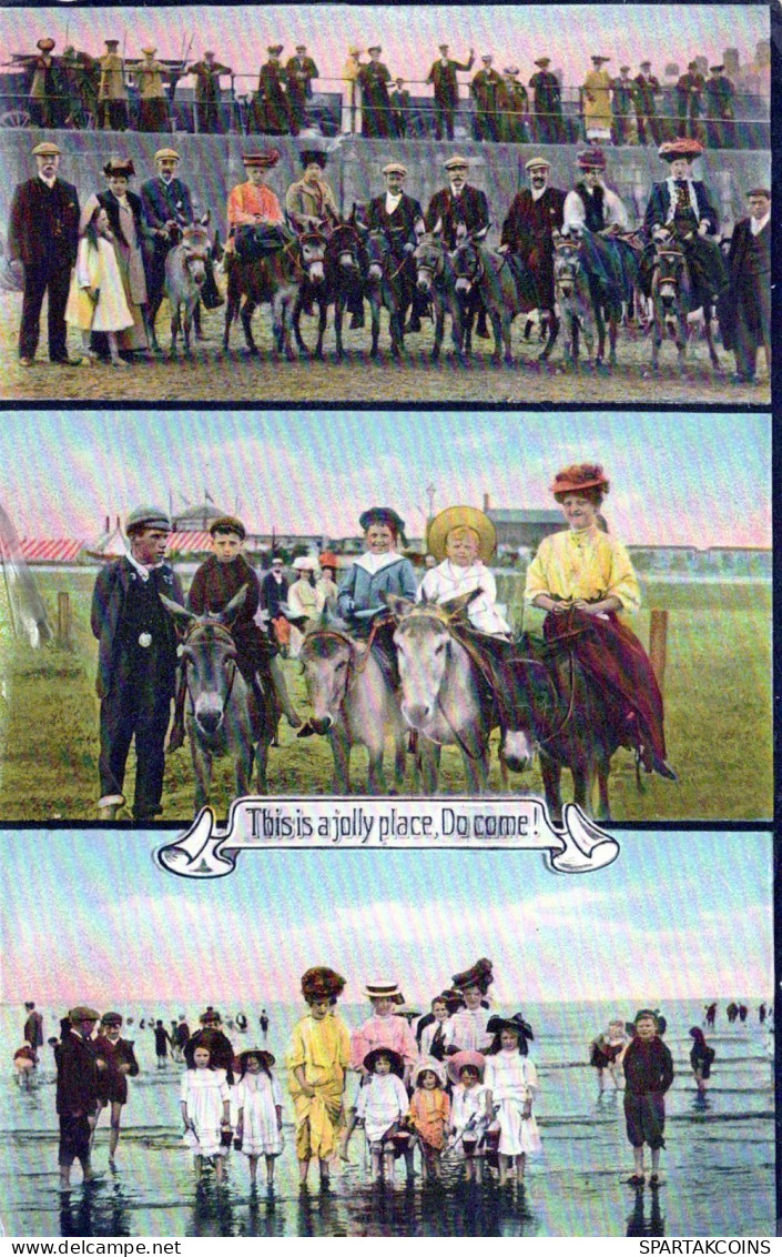 ASINO Animale Vintage CPA Cartolina #PAA280.A - Burros