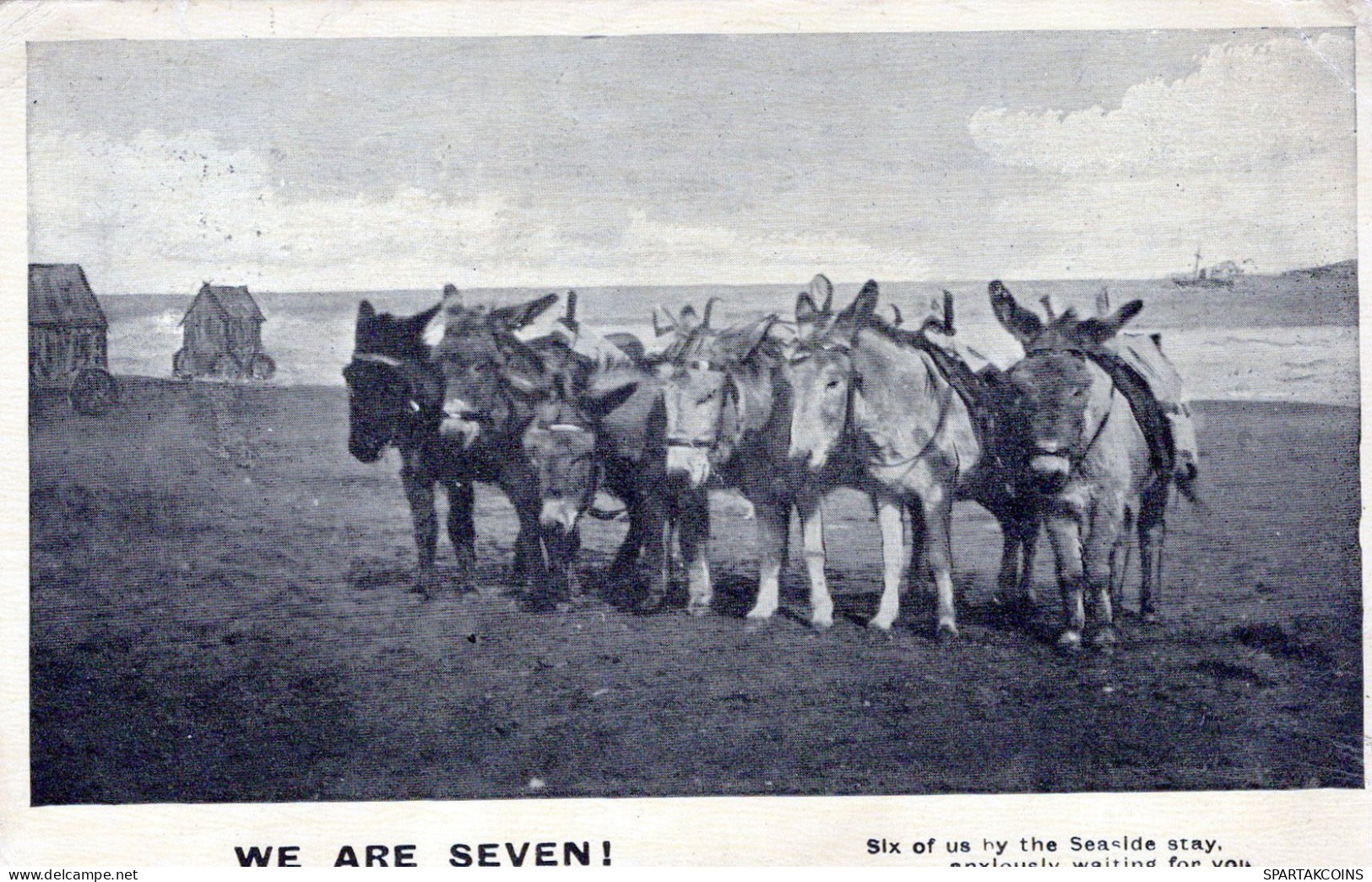 ASINO Animale Vintage CPA Cartolina #PAA207.A - Donkeys