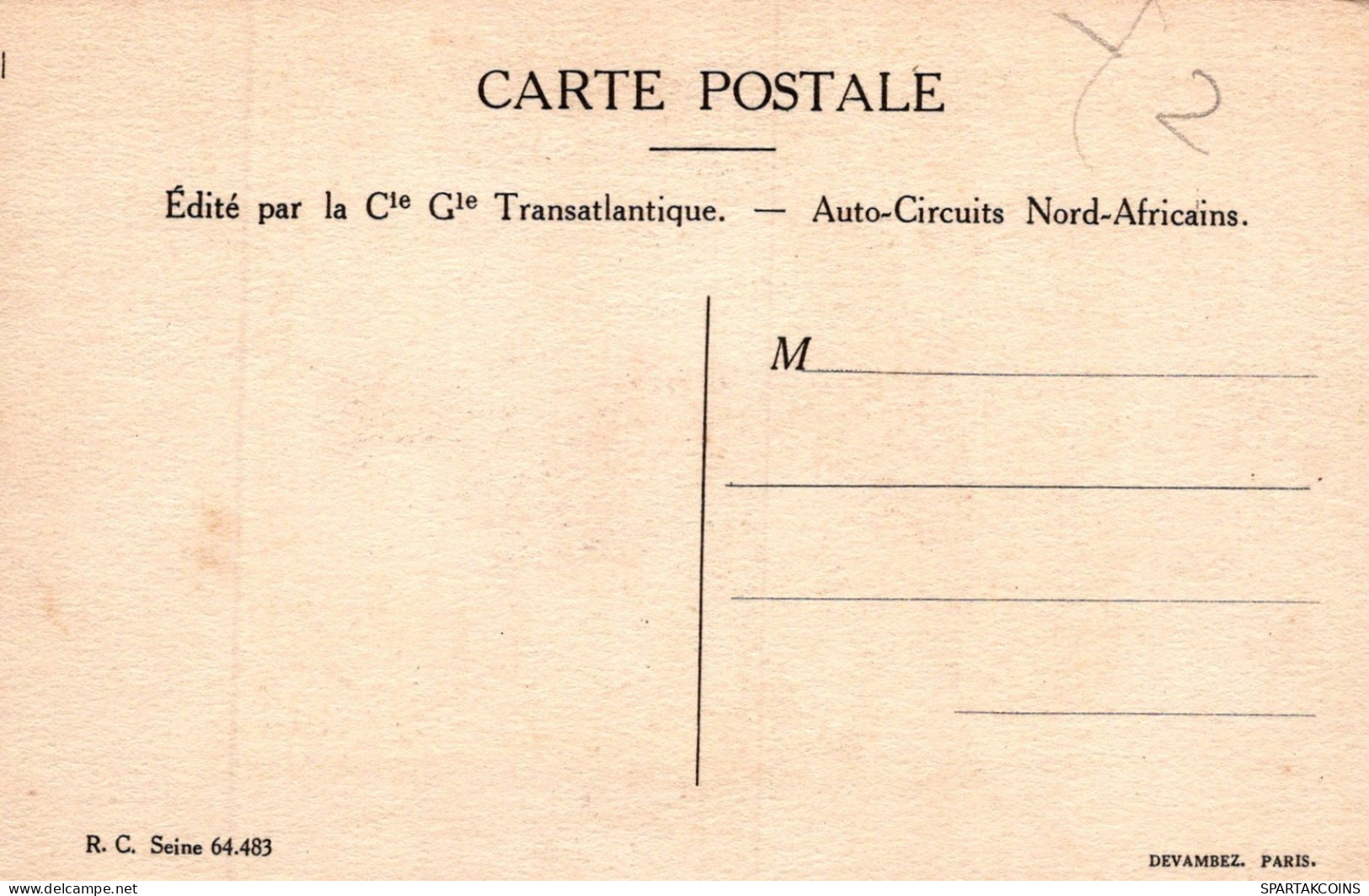 ÂNE Animaux Vintage Antique CPA Carte Postale #PAA110.A - Donkeys