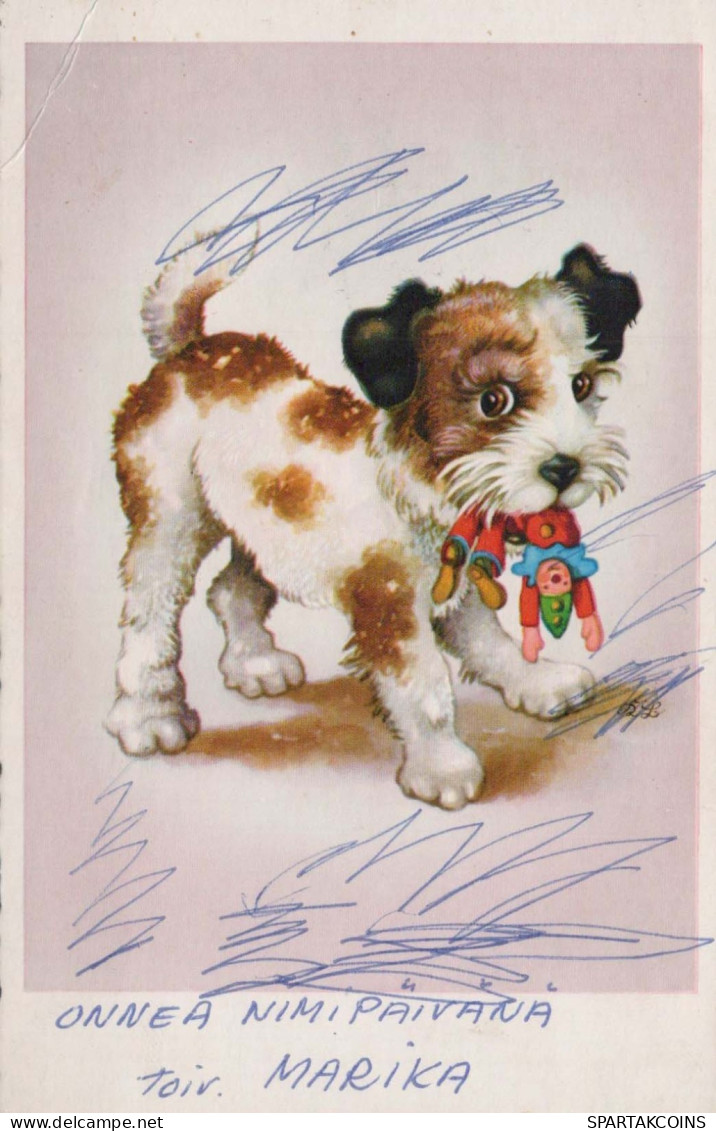DOG Vintage Postcard CPSMPF #PKG924.A - Honden