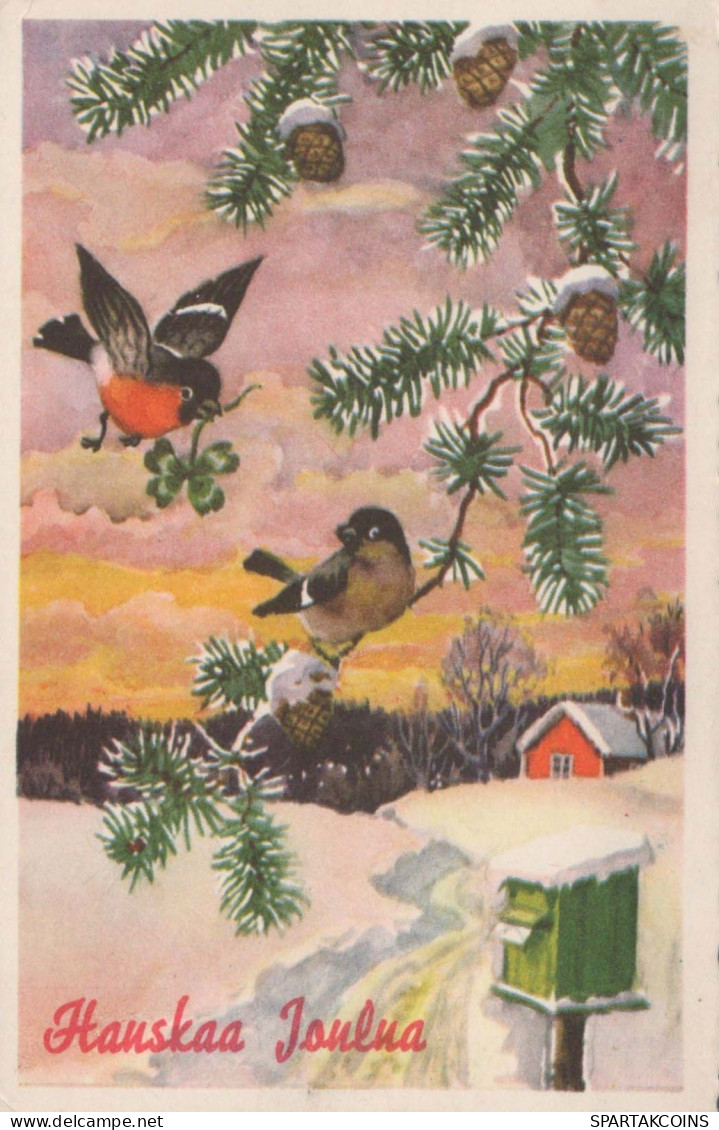 BIRD Vintage Postcard CPSMPF #PKG959.A - Vögel