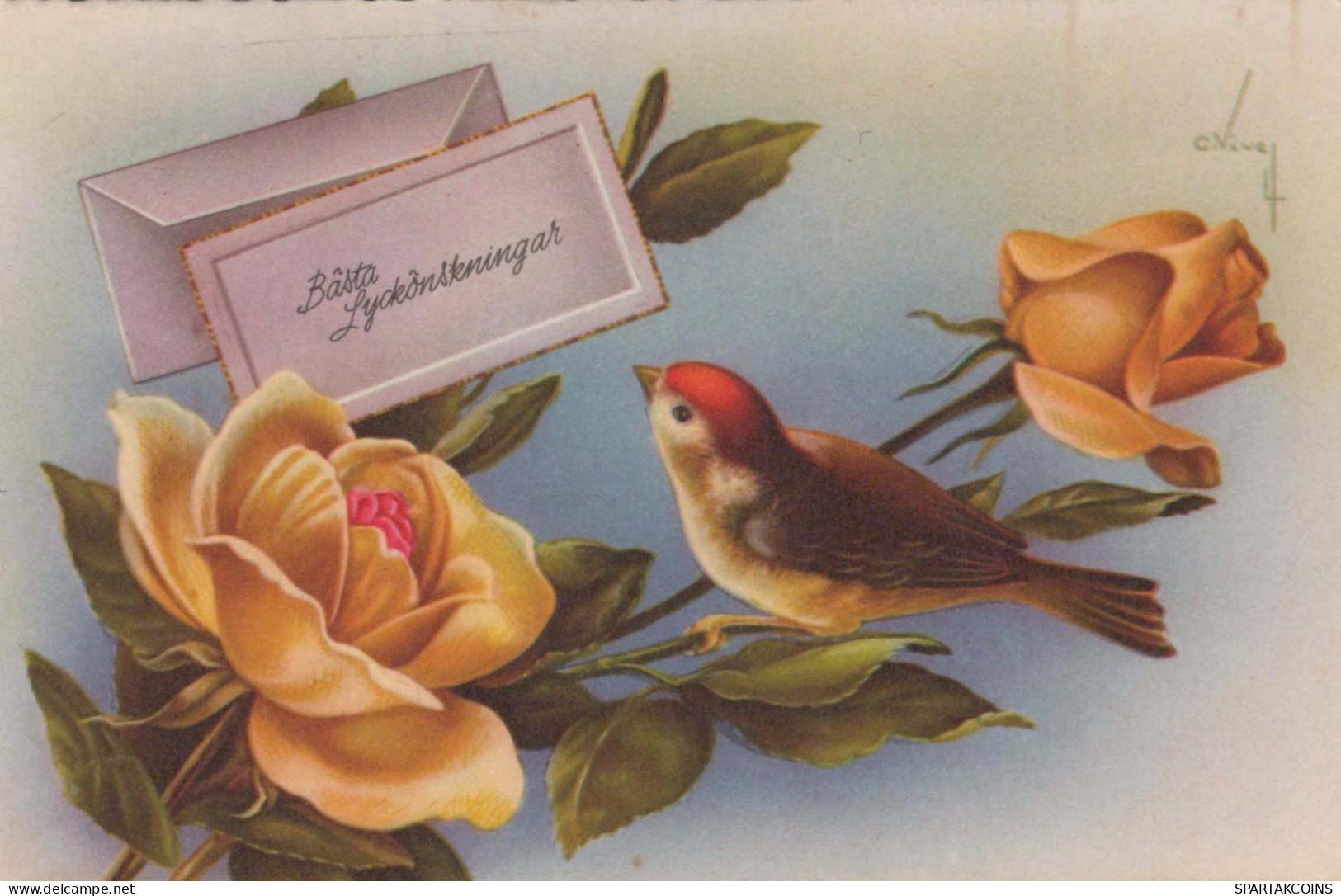 FLOWERS Vintage Postcard CPSMPF #PKG084.A - Fleurs