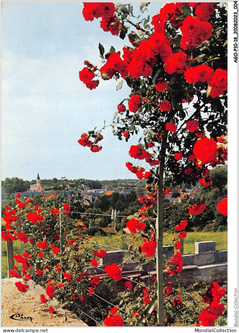 AGOP10-0831-18 - JOUET-sur-L'AUBOIS - Cher - Jouet Sous Les Roses - Saint-Amand-Montrond