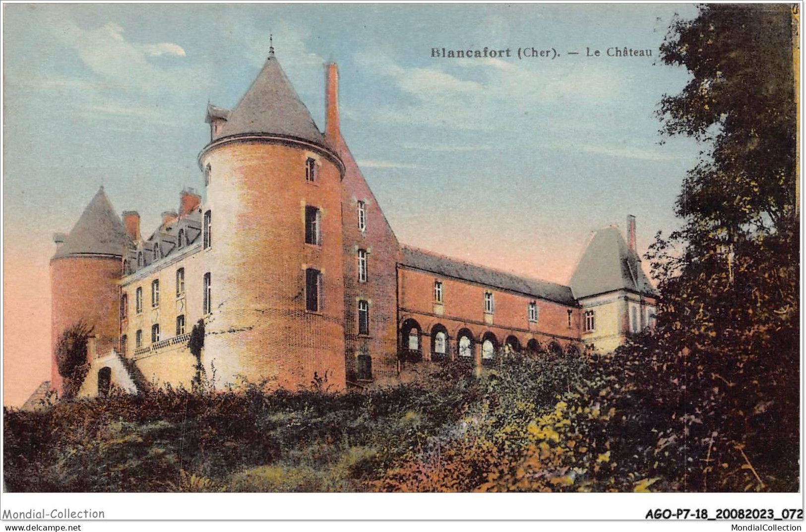 AGOP7-0595-18 - BLANCAFORT - Cher - Le Chateau - Vierzon