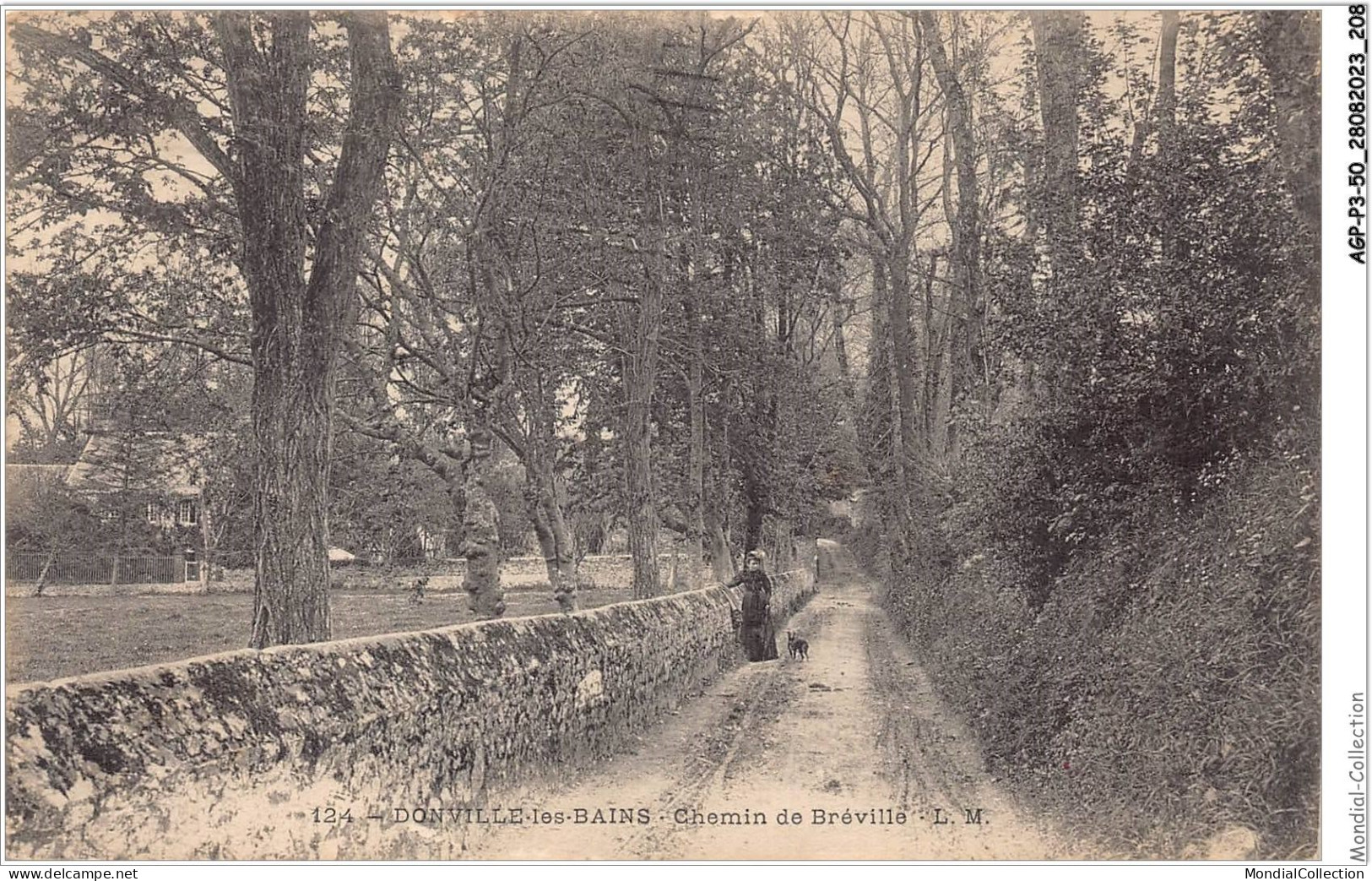 AGPP3-0317-50 - DONVILLE-LES-BAINS - Chemin De Bréville  - Sonstige & Ohne Zuordnung