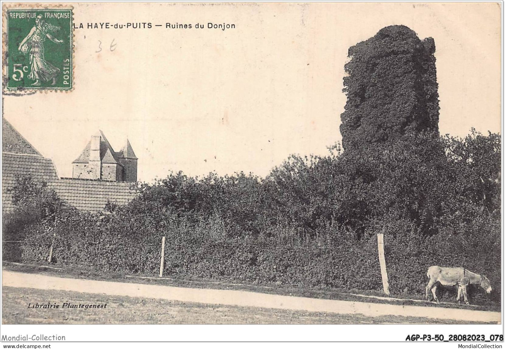 AGPP3-0252-50 - LA-HAYE-DU-PUITS - Ruines Du Donjon  - Autres & Non Classés