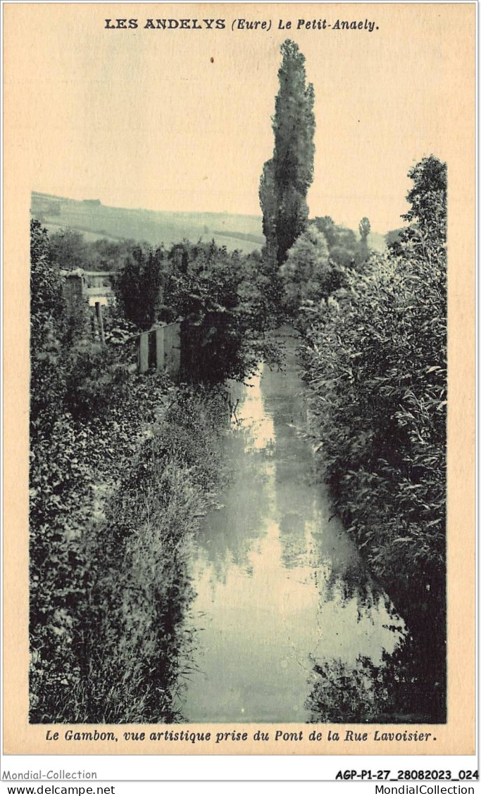 AGPP1-0013-27 - LES-ANDELYS - Le Petit-andely - Le Gambon, Vue Artistique Prise Du Pont De La Rue Lavoisier - Les Andelys