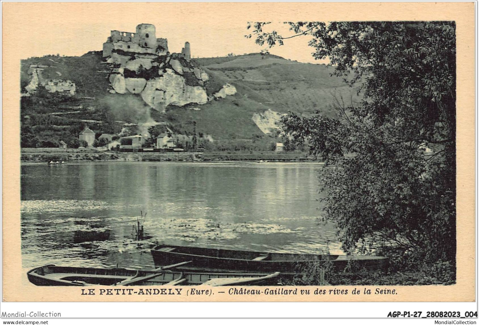 AGPP1-0003-27 - LES-ANDELYS - Le-petit-andelys - Chateau Gaillard Vu Des Rives De La Seine  - Les Andelys