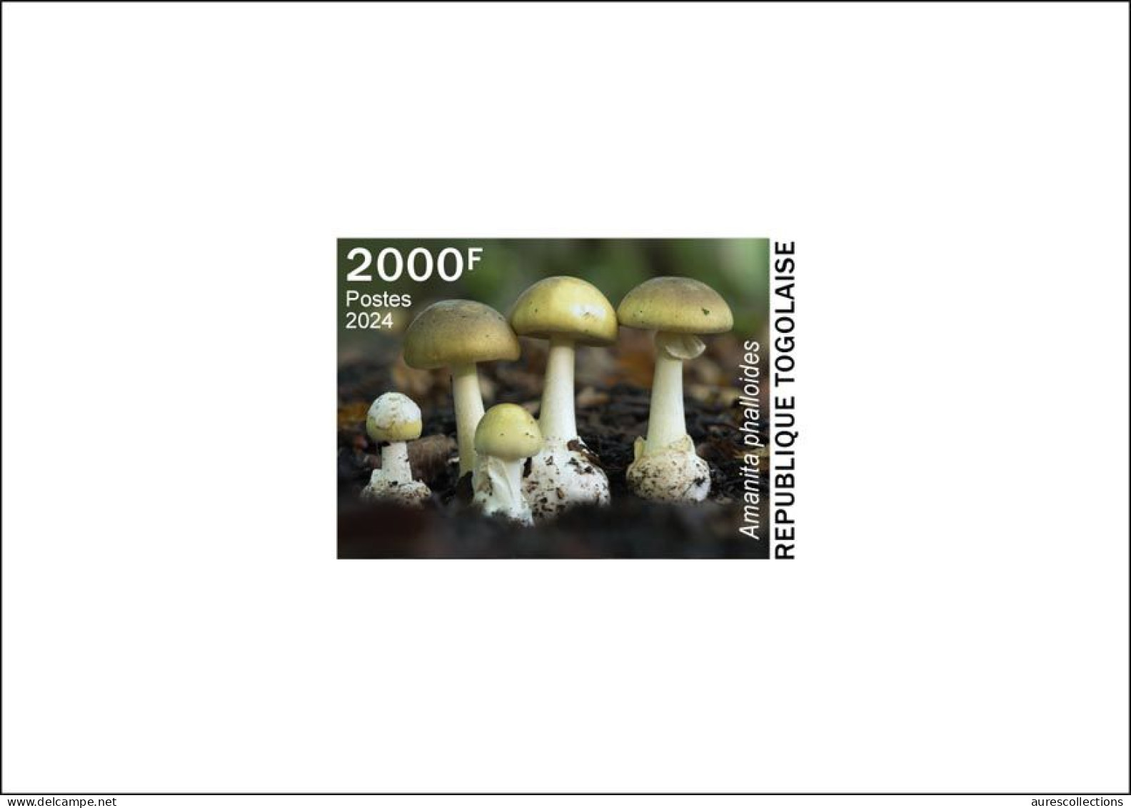 TOGO 2024 DELUXE PROOF - TOXIC SPECIES - MUSHROOM MUSHROOMS CHAMPIGNONS - Paddestoelen