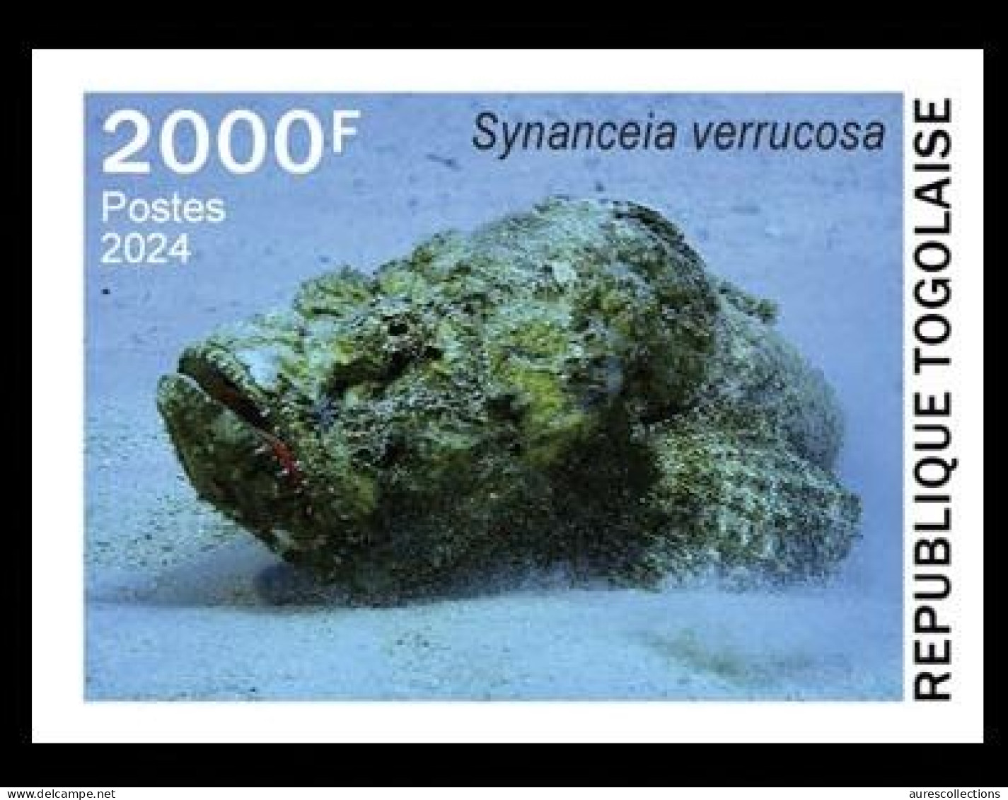 TOGO 2024 STAMP 1V IMPERF 2000F - TOXIC SPECIES - FISH POISSON POISSONS - MNH - Fische