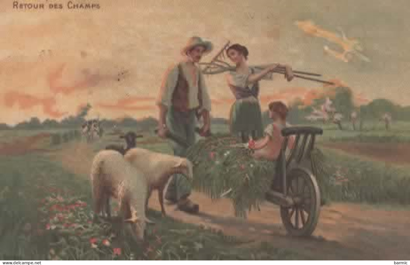 RETOUR DES CHAMPS, FEMME, HOMME, ENFANT, MOUTONS, VACHES COULEUR   REF 16255 - Altri & Non Classificati