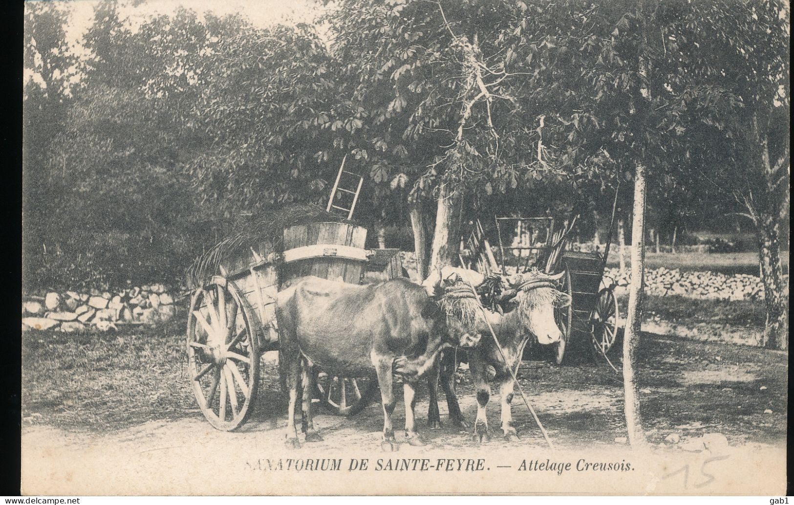 23 --- Sanatorium De Sainte - Feyre -- Attelage Creusois - Autres & Non Classés