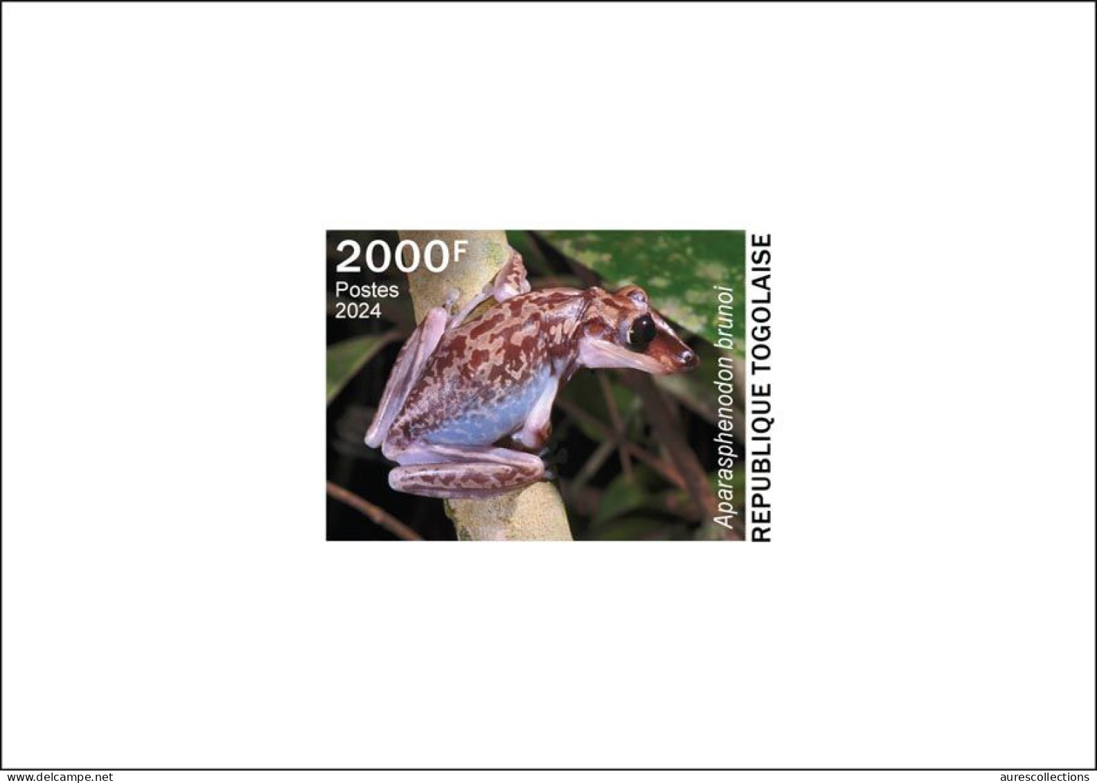 TOGO 2024 DELUXE PROOF - TOXIC SPECIES - FROG FROGS GRENOUILLES GRENOUILLE - MNH - Frogs