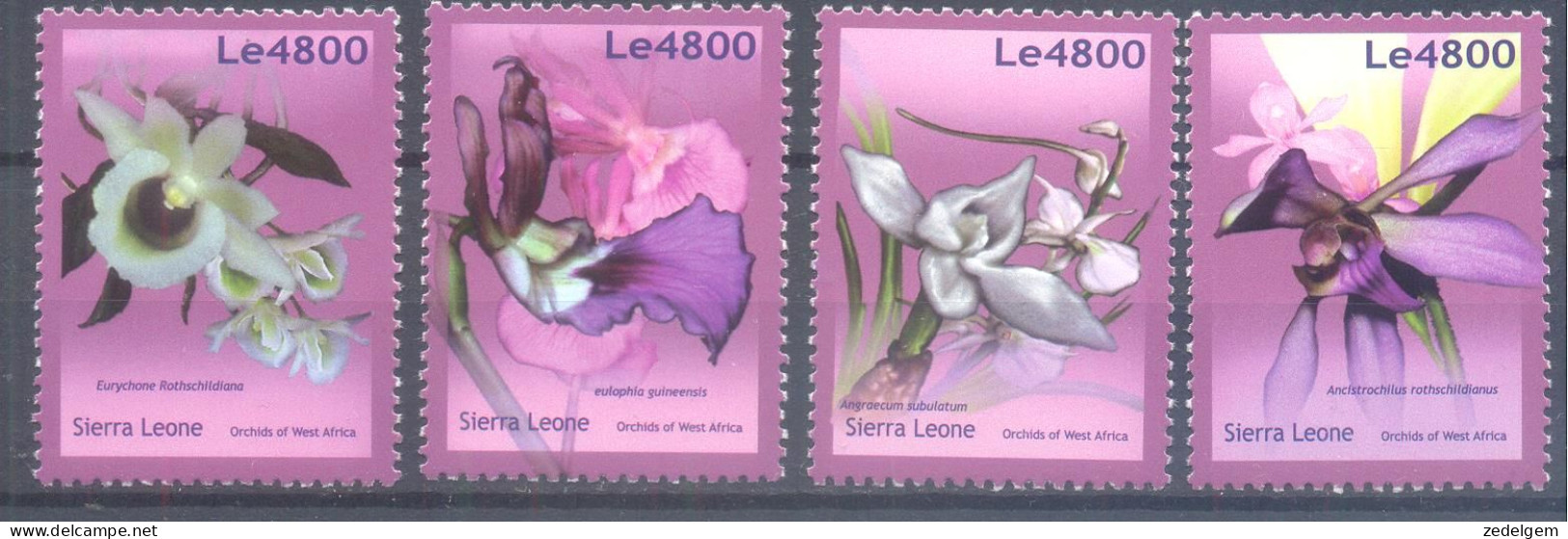 SIERRA LEONE  (ORC050) XC - Orchidées