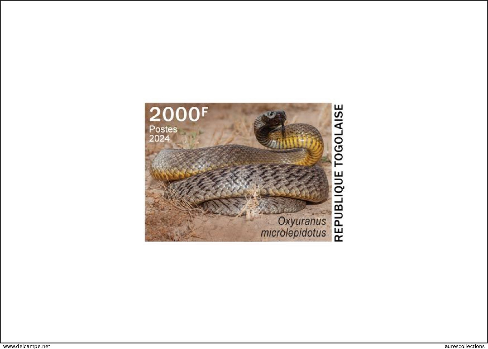 TOGO 2024 DELUXE PROOF - TOXIC SPECIES - SNAKE SNAKES REPTILES SERPENTS - Serpents