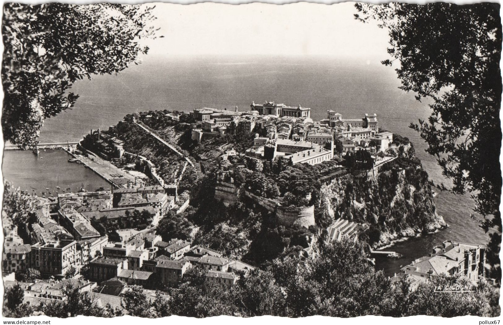 CPSM DE MONACO  (MONACO)  MONACO-VILLE SUR SON ROCHER - Tarjetas Panorámicas