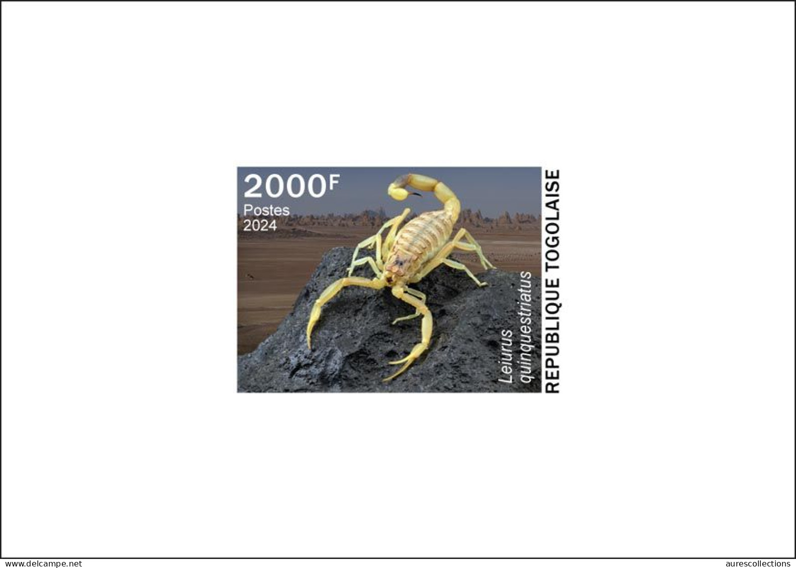 TOGO 2024 DELUXE PROOF - TOXIC SPECIES - SCORPIONS SCORPION - Araignées