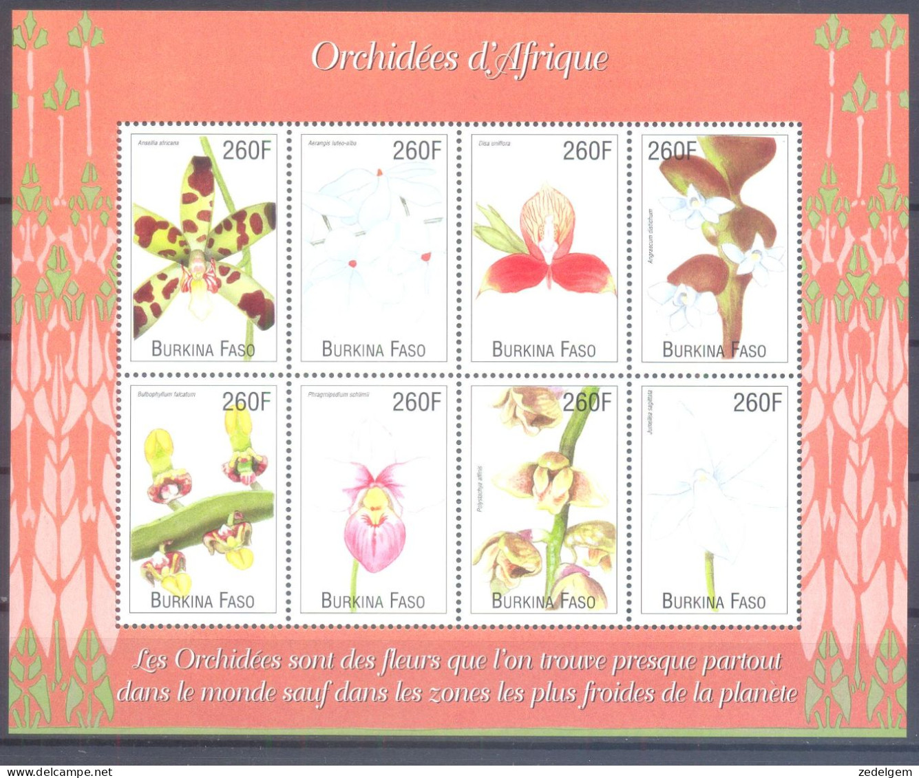 BURKINA FASO  (ORC099) XC - Orchids