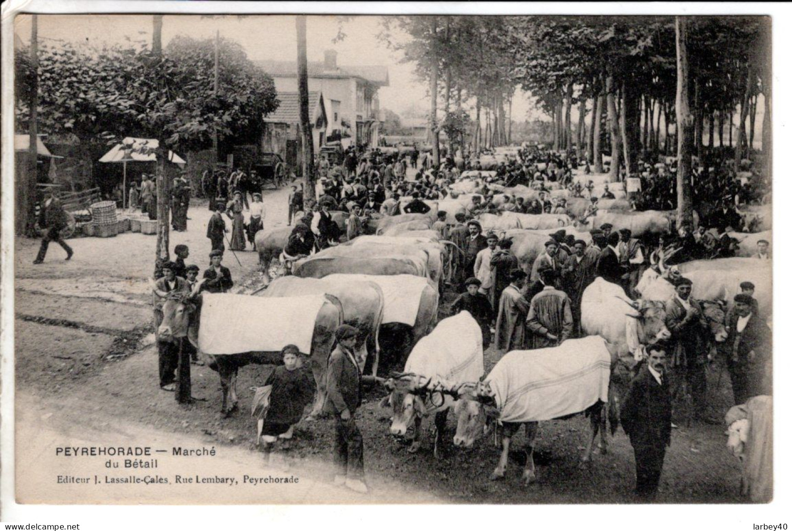 40 - Peyrehorade Marche Du Betail - Cartes Postales Ancienne - Peyrehorade