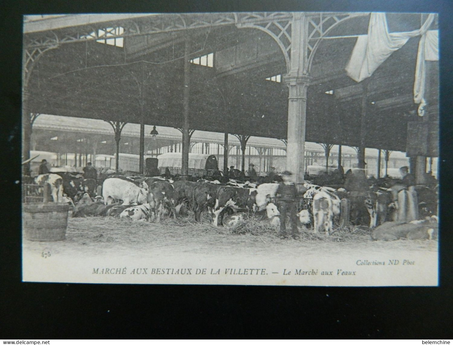 MARCHE AUX BESTIAUX DE LA VILLETTE                     LE MARCHE AUX VEAUX - Paris (19)