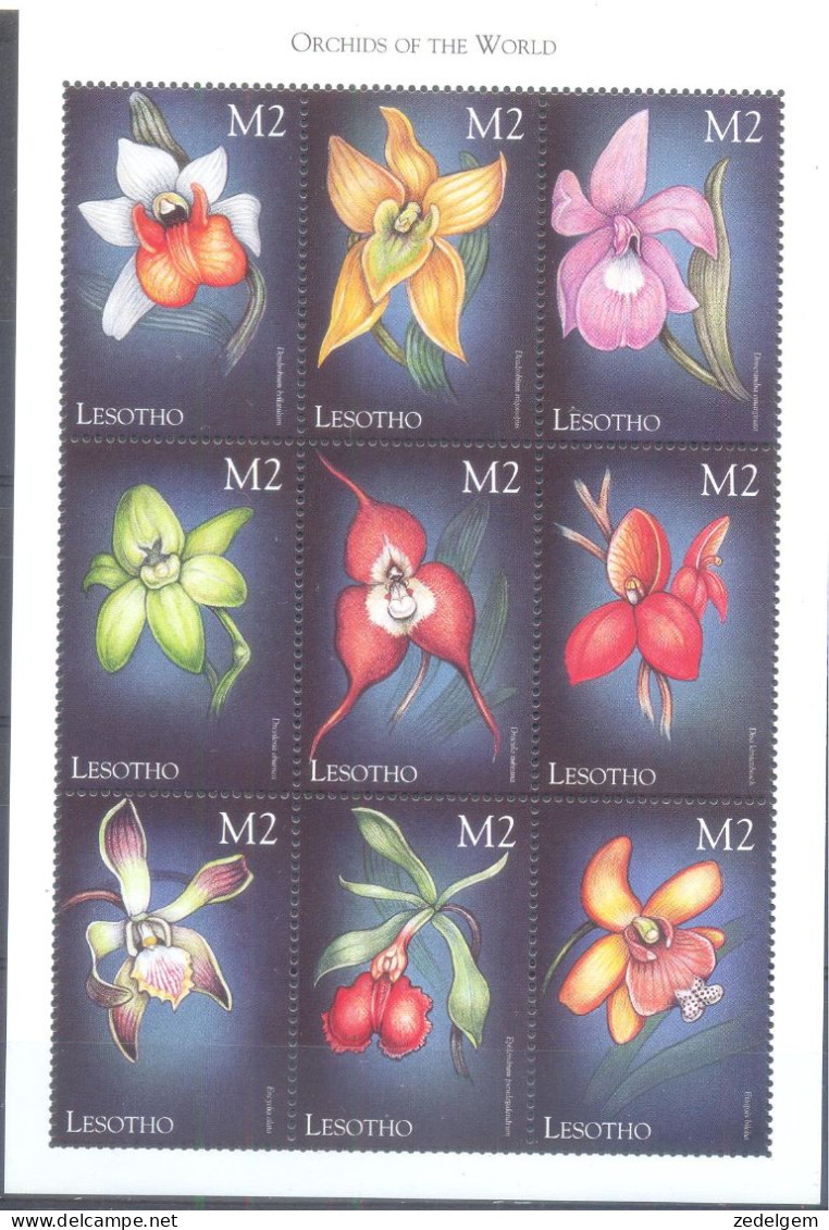 LESOTHO  (ORC101) XC - Orchids