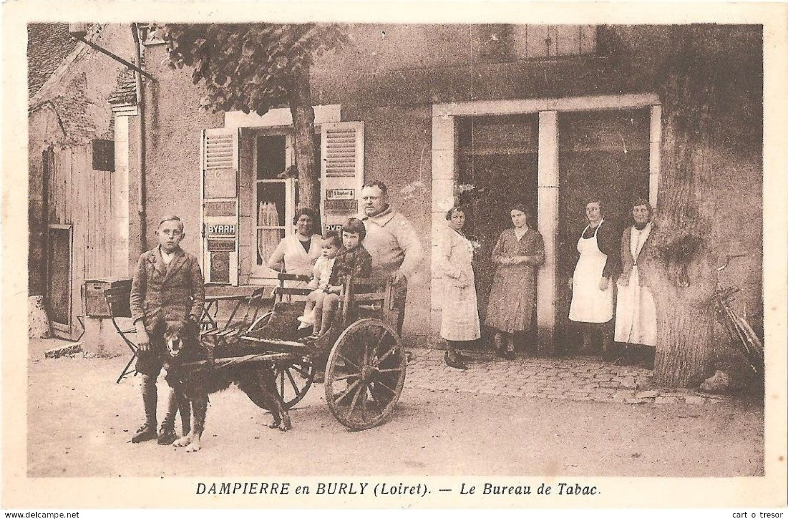 45 - DAMPIERRE-EN-BURLY - Le Bureau De Tabac - ATTELAGE DE CHIEN - Autres & Non Classés