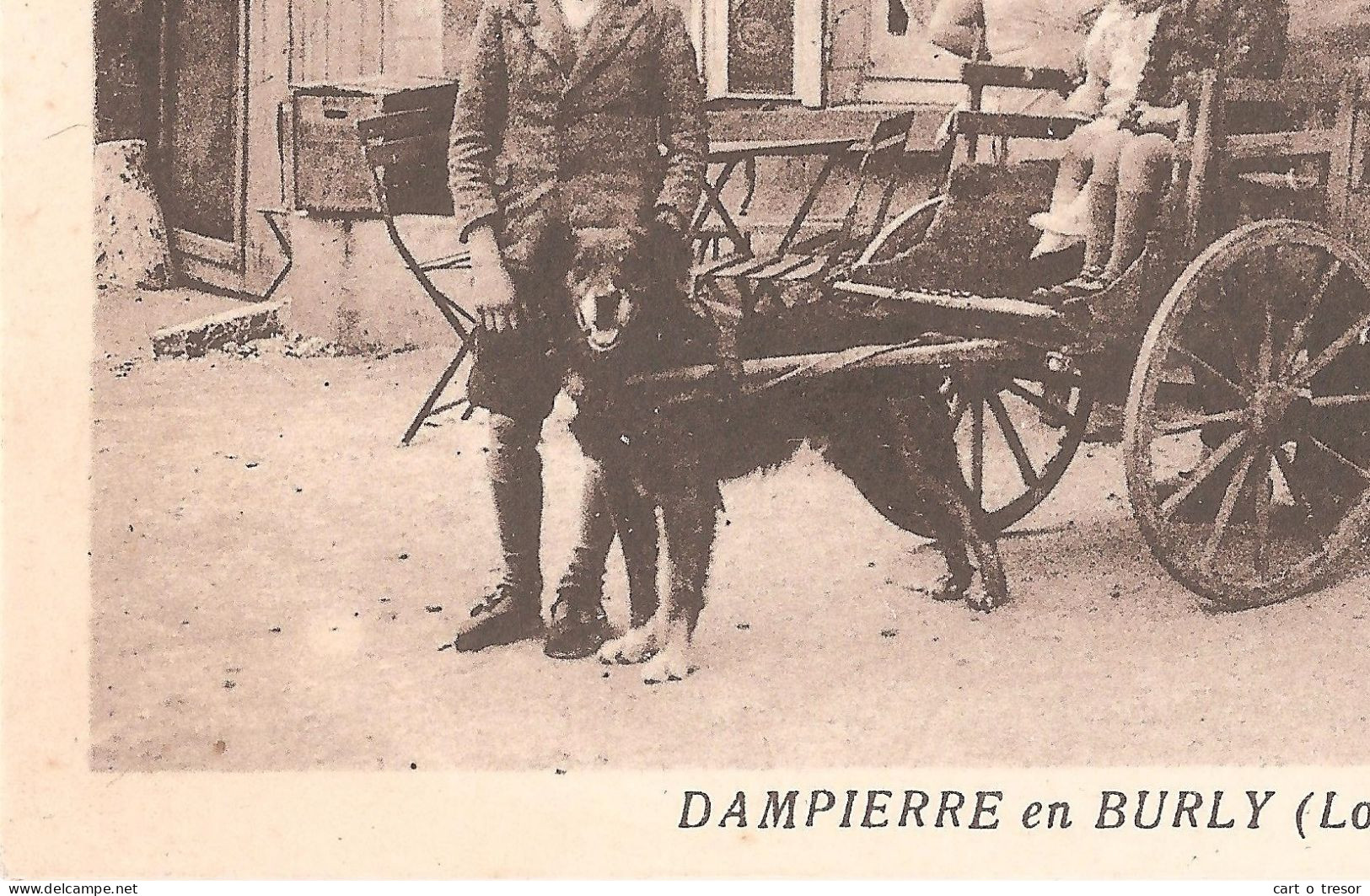 45 - DAMPIERRE-EN-BURLY - Le Bureau De Tabac - ATTELAGE DE CHIEN - Autres & Non Classés