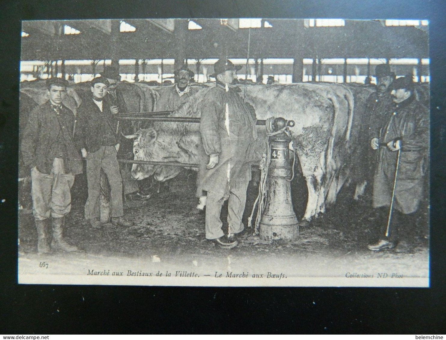 ABATTOIRS DE LA VILLETTE                    LE MARCHE AUX BOEUFS - Paris (19)