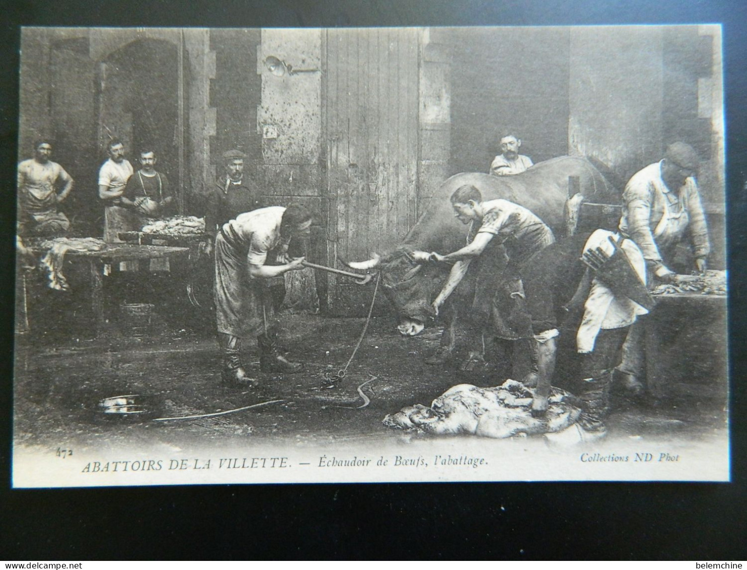 MARCHE AUX BESTIAUX DE LA VILLETTE                   ECHAUDOIR DE BOEUFS          L'ABATTAGE - Paris (19)