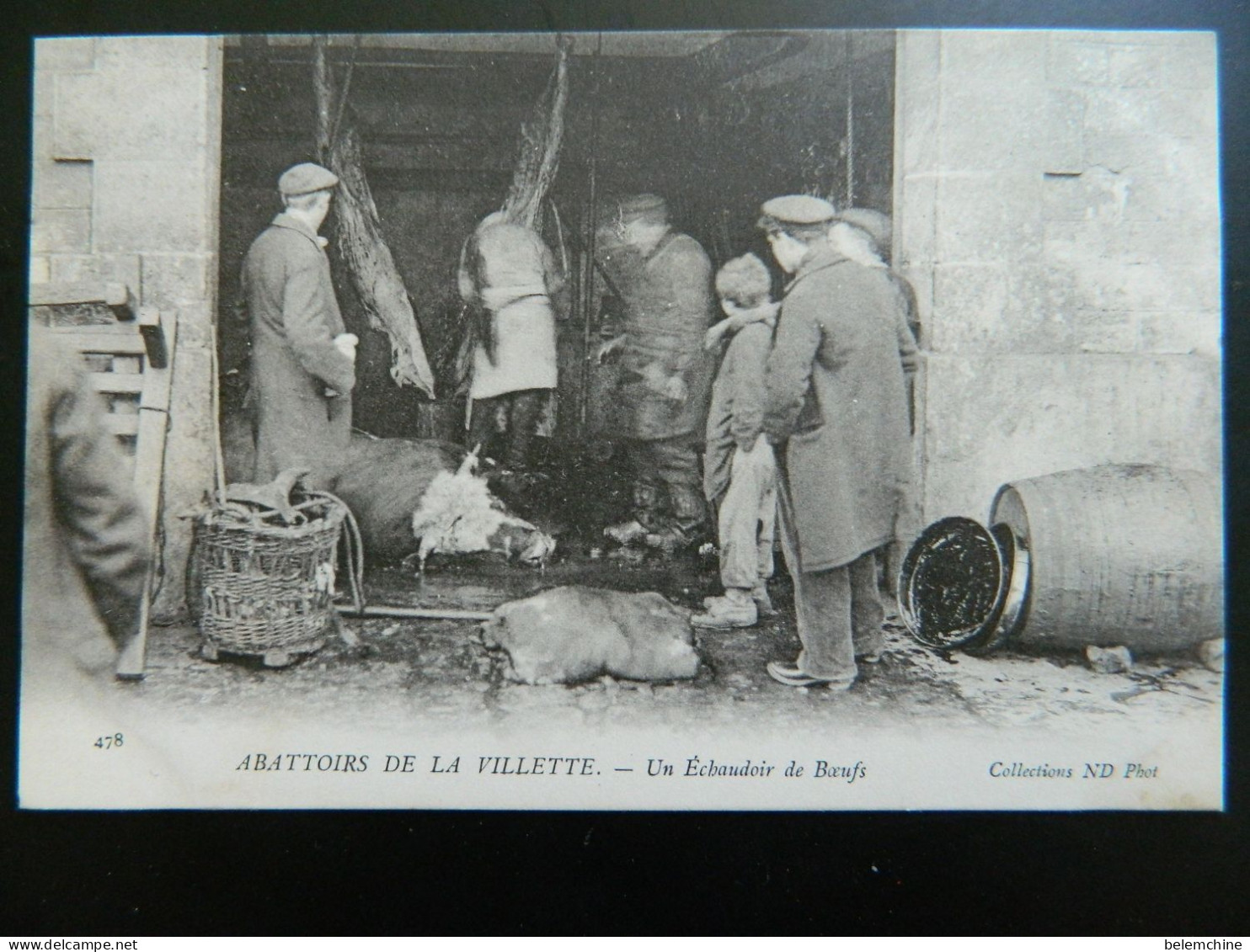 ABATTOIRS DE LA VILLETTE                    UN ECHAUDOIR DE BOEUFS - Paris (19)