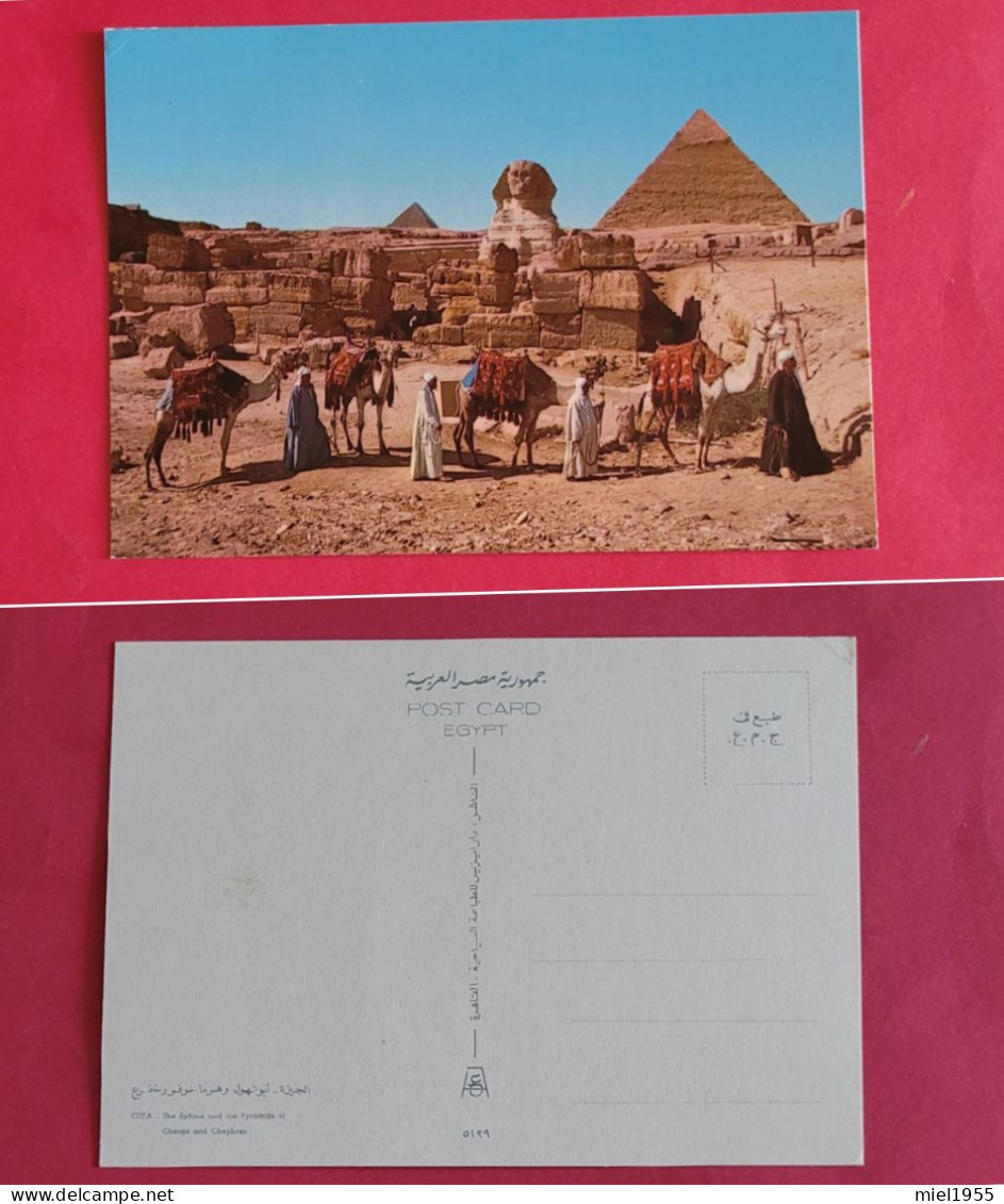 EGYPTE Carte Postale Sphinx Et Pyramides GIZEH (3 Photos) - Guiza